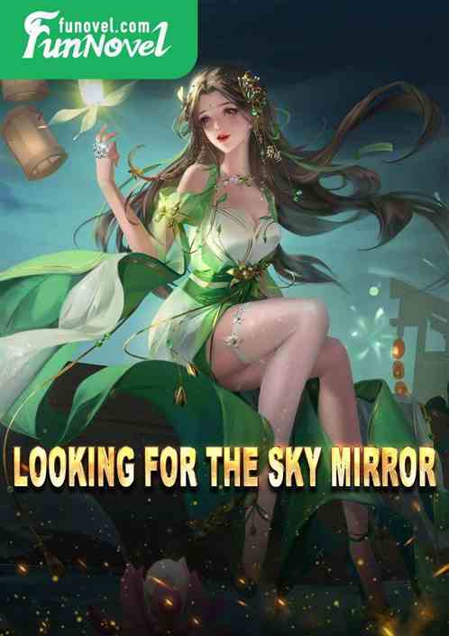 Looking for the Sky Mirror