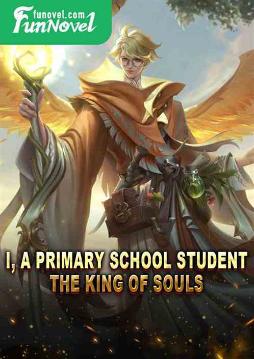 I, a primary school student, the king of souls