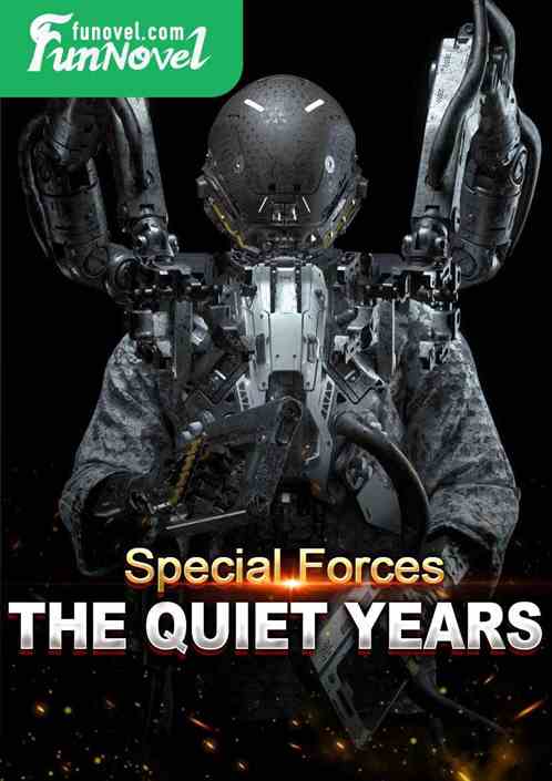 Special Forces: The Quiet Years