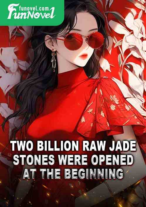 Two billion raw jade stones were opened at the beginning