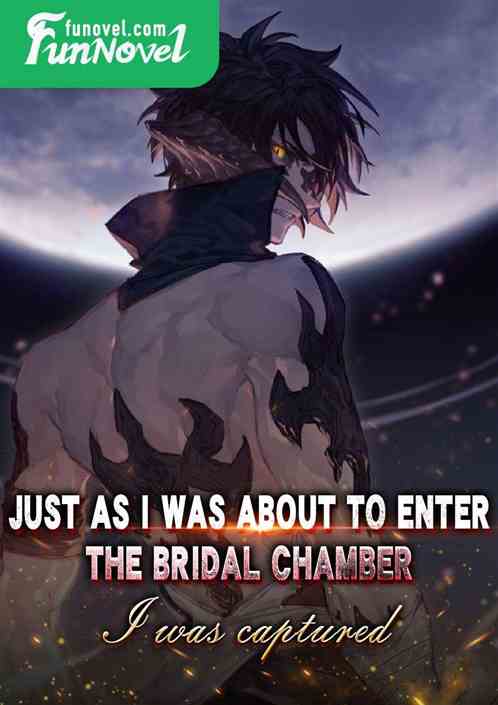 Just as I was about to enter the bridal chamber, I was captured