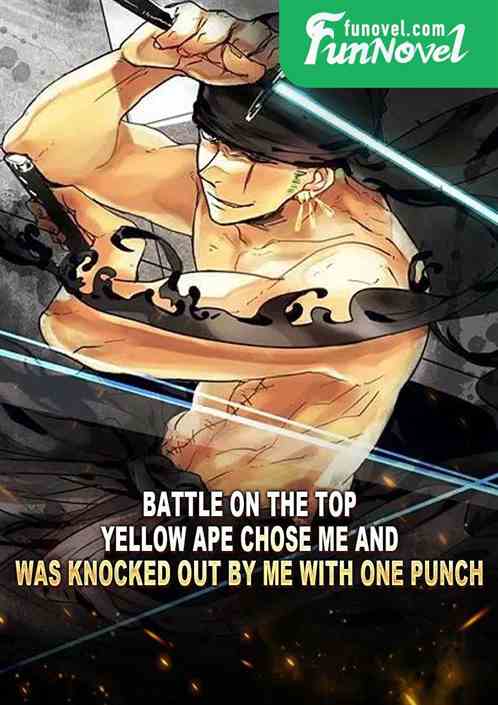 Battle on the Top: Yellow Ape chose me and was knocked out by me with one punch