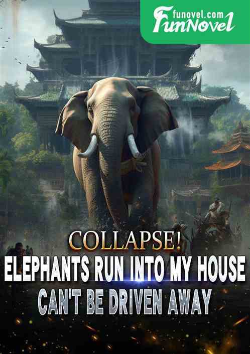 Collapse! Elephants run into my house, can't be chased away