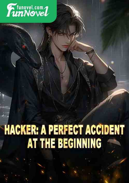 Hacker: A perfect accident at the beginning