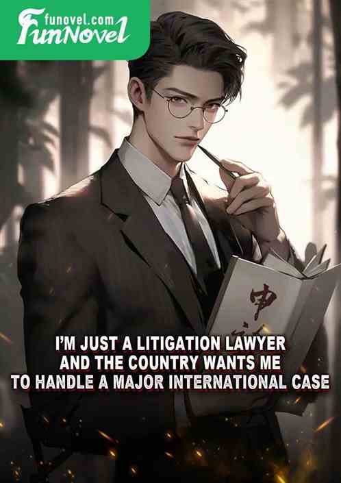 Im just a litigation lawyer, and the country wants me to handle a major international case?