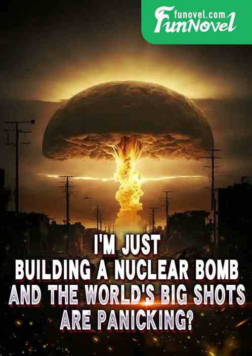 Im just building a nuclear bomb, and the worlds big shots are panicking?